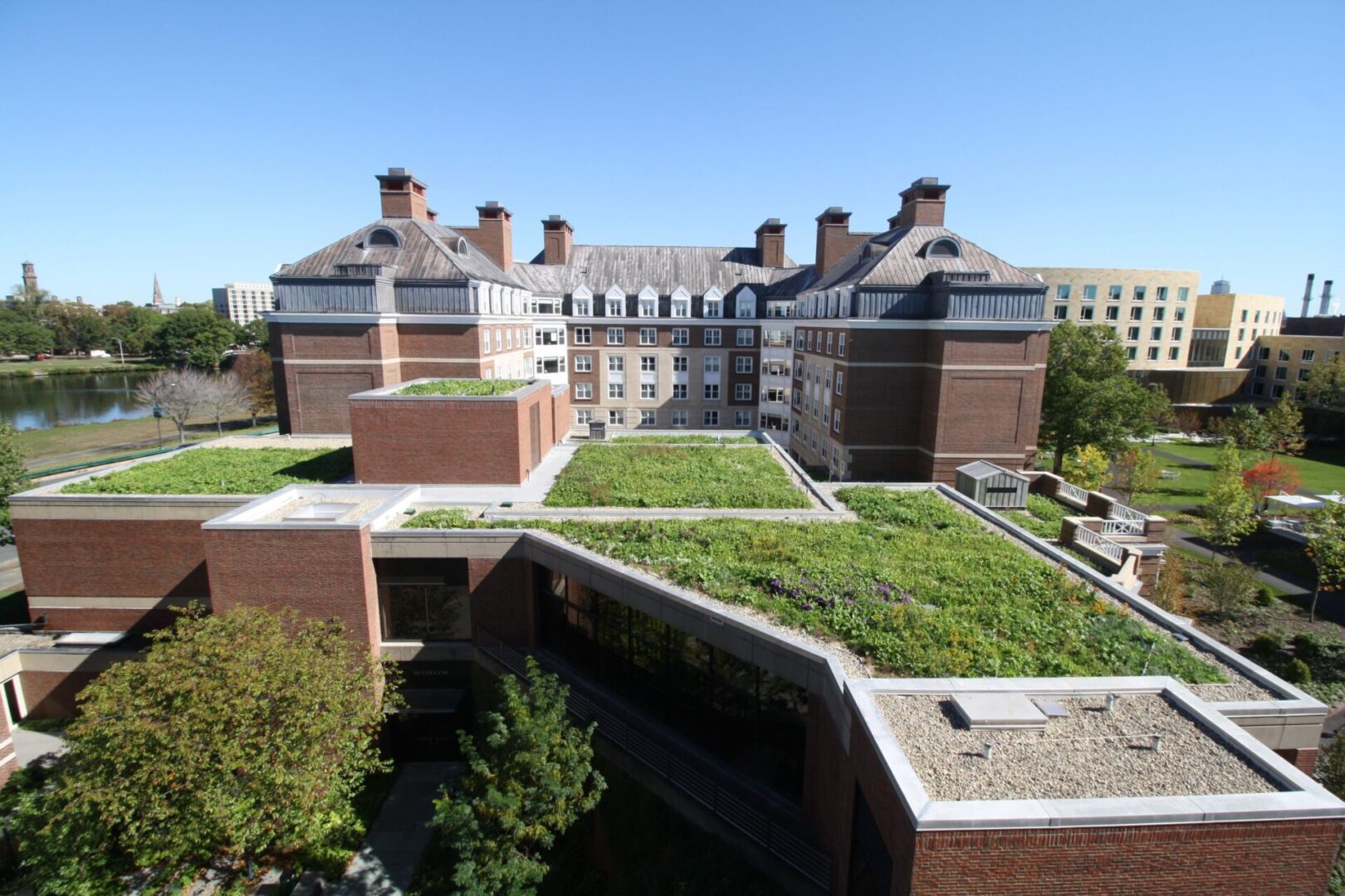A view of the Harvard green roof for the building